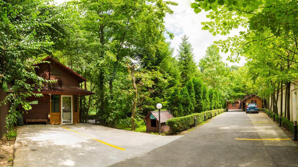 Pensiunea Casa Verde Bucuresti Εξωτερικό φωτογραφία